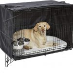 A metal dog cage is used primarily for housebreaking a puppy.