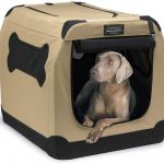 Travel crate with Weimaraner puppy in it