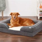 orthopedic dog bed for large dog with arthritis
